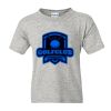 DryBlend® Youth T-Shirt Thumbnail